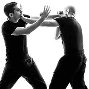 Jeet Kune Do