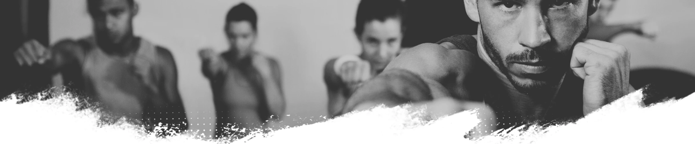 Banner_buchen Banner_buchen