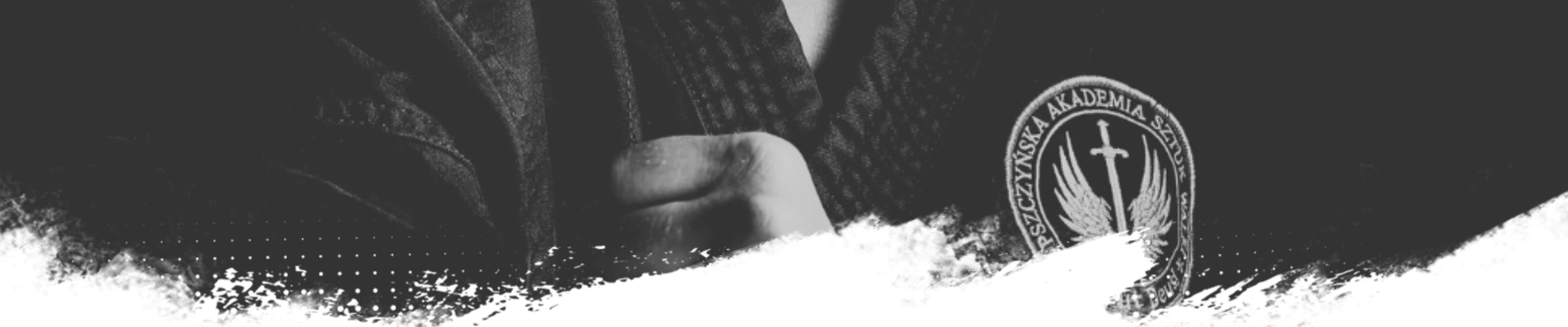 Banner_Plesser