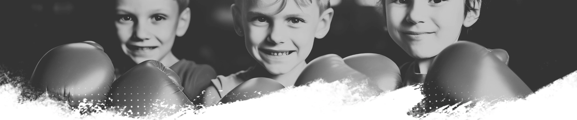 Banner_Little_Tigers